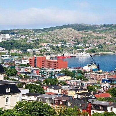 St. John's, Quidi Vidi Village & Signal Hill Small Group Tour