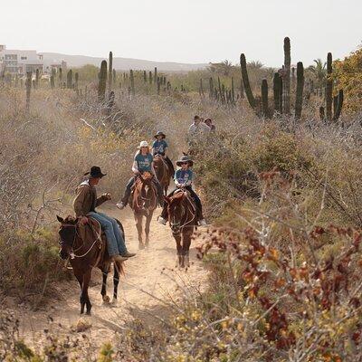 Horseback Riding Tour in Cabo San Lucas