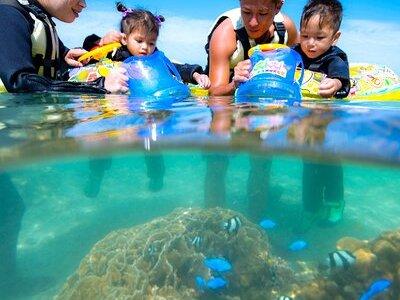 OK from 2 years old! / Sea picnic & snorkel