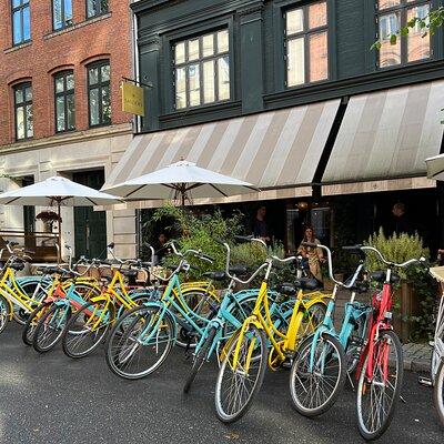 Guided Bike Tour in Wonderful Copenhagen