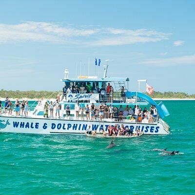 Port Stephens: Splash 'n' Slide Dolphin Cruise