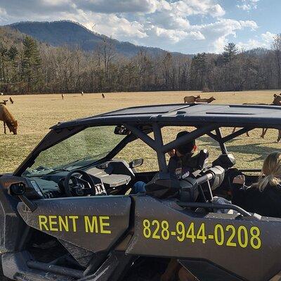 (4 HR) UTV ECO Elk Wilderness Adventure 