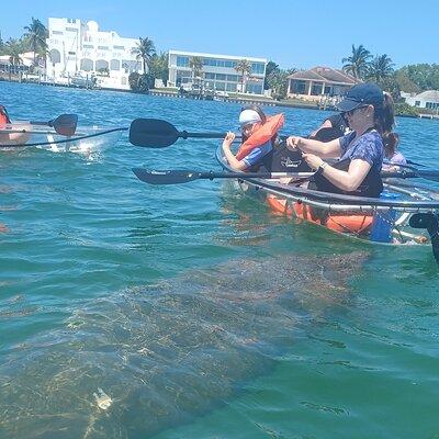 Clear Kayak Glass Bottom Day Tour - Anna Maria Island