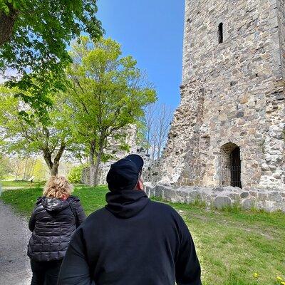 Viking History, Fika & Countryside 9h Tour to Sigtuna & Uppsala