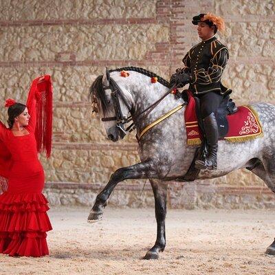 Equestrian Show Royal Stables of Córdoba