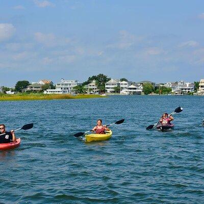 Eco Kayak Tour in Wrightsville Beach