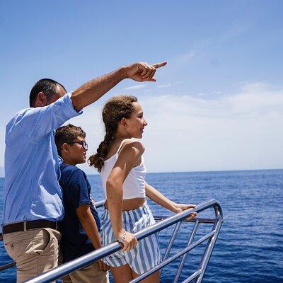 Dolphin Sightseeing Boat Tour from Benalmadena