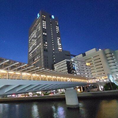 Yokohama private tour -Night View-