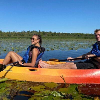 Wetlands Kayak Tour 