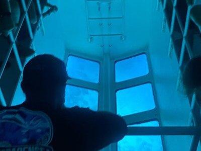 Night Tour Glass Bottom Boat in Islamorada