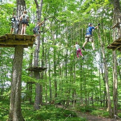 Aerial Adventure Park Admission