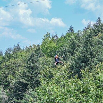 Zipline Canopy Activity Admission at Bristol Mountain