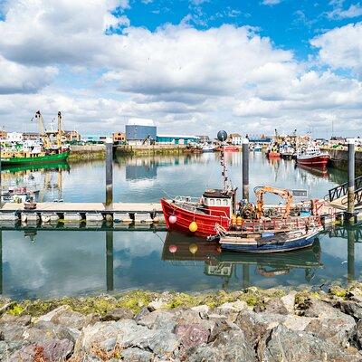 Dublin Great Famine Tour with Fast-Track EPIC Museum Tickets