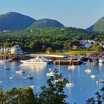 Best of Bar Harbor: 2-Hour Guided Food Walking Tour