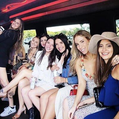 Half Day Wine Tour with Luxury Limousine in Austin