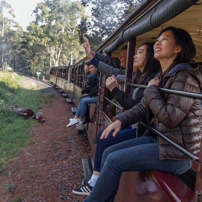 1 day Puffing Billy Steam Train and Wildlife Tour from Melbourne