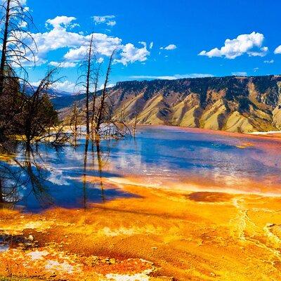 Private All-Day Tour of Yellowstone National Park (Upper Loop)