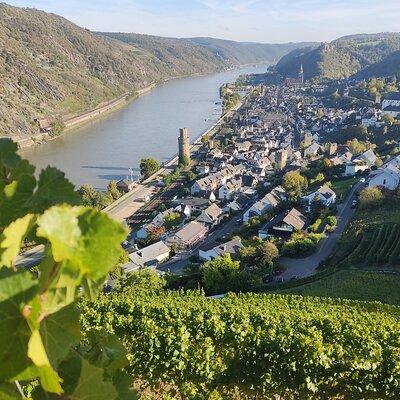 Private day trip to the Romantic Rhine Valley with river cruise and wine tasting