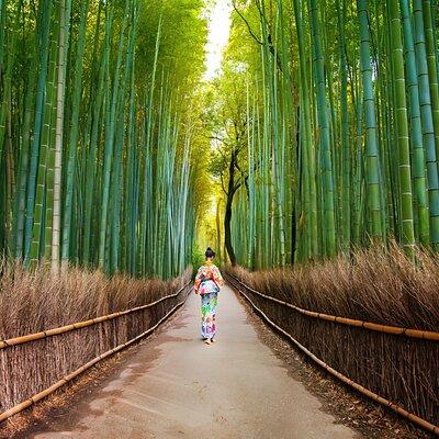 Kyoto Arashiyama Walking Tour: Bamboo, Monkeys, Zen & Secrets