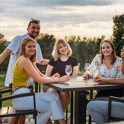 5-Hour Traverse City Wine Tour: 3 Wineries on Leelanau Peninsula