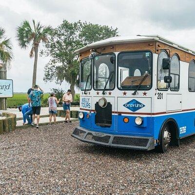 Savannah to Tybee Island with Dolphin Cruise