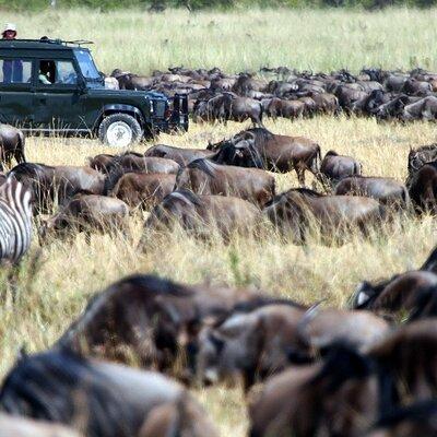 8 Days Combined Kenya And Tanzania Luxury Safari