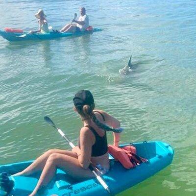 Dolphin and Manatee Kayak Tour of Daytona Beach