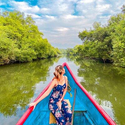 The Nature Trail at Chorao Island in Goa 