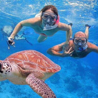 San Juan Guided Snorkeling Experience - With Transport 8am-3pm