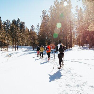 Taos Backcountry Snowshoe Tour