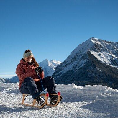 Day Sledding in Interlaken