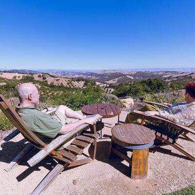 Inclusive Full-Day Wine Tasting Tour of Paso Robles