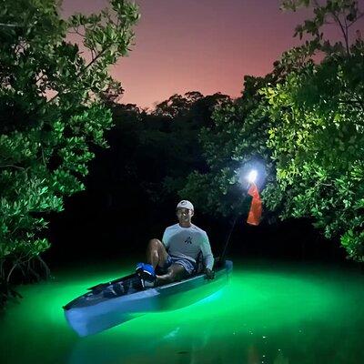 Guided Glow LED Kayak Sunset Activity in Bonita Springs