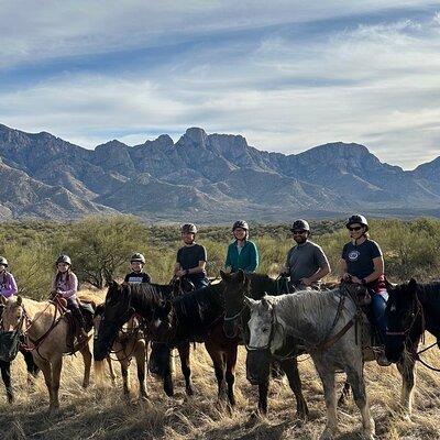 One Hour Guided Horseback Ride