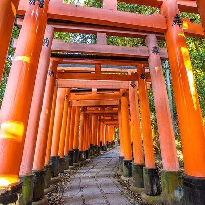 Full Day Guided Tour to Kyoto and Nara from Osaka