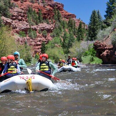 Telluride Morning Half-Day Rafting Tour on the San Miguel River