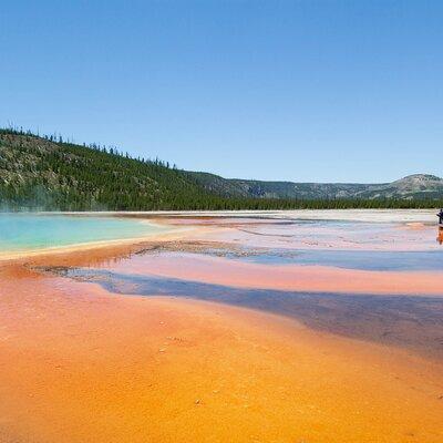 Yellowstone Nat'l Park Full Day Tour From Cody, WY 