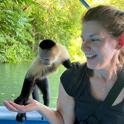 Panamá Boat Tour and wildlife on the Gatun Lake