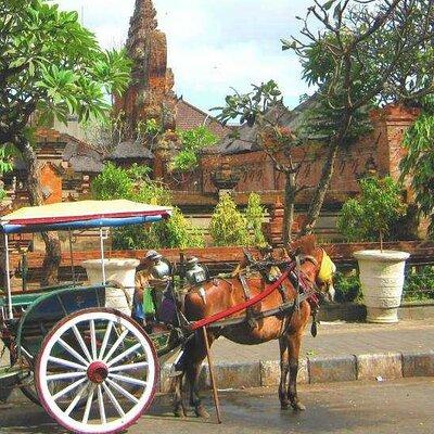 Discover Bali : Shore Excursion from Benoa Port with Free Wi-Fi