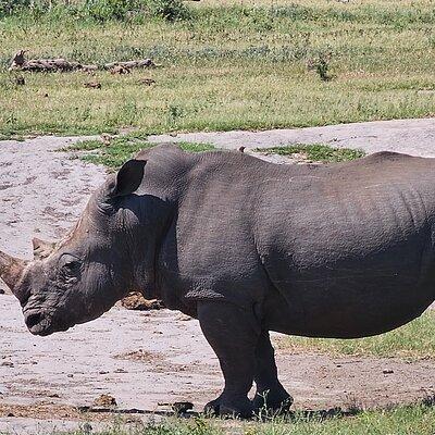 2 Day Kruger National Park Safari Adventure