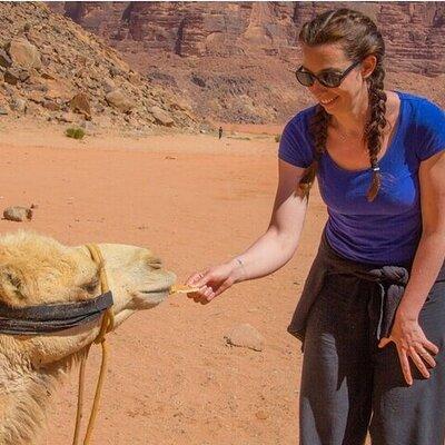 3 Day Group tour from Amman to Petra Wadi Rum Aqaba Dead Sea