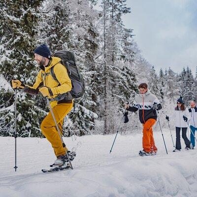 Snowshoe tour in Winter Wonderland - Oslo