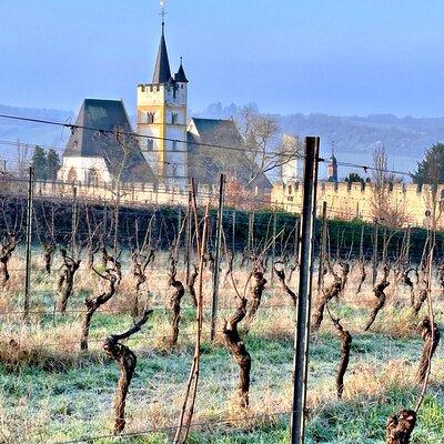 Rhein valley & Rüdesheim - Wine & Christmas markets tour