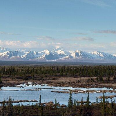 Authentical Denali Tour from Denali Park and Fairbanks