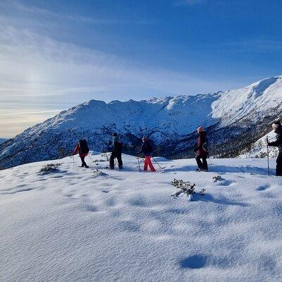 Snowshoe hiking Bergen - Norway Mountain Guides