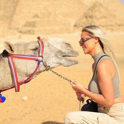 Private Day Tour Giza Pyramids, Sphinx, Memphis, and Saqqara