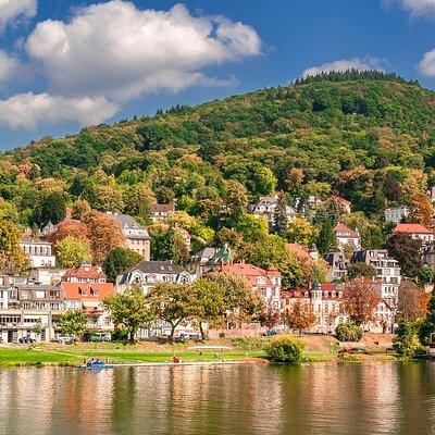 Private day trip: from Frankfurt to Heidelberg and back