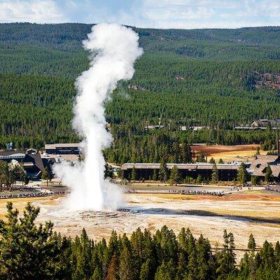 Yellowstone: Private Guided Tour