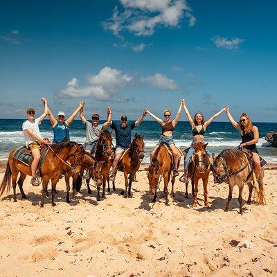 Aruba Ecological and Beach Horseback Ride