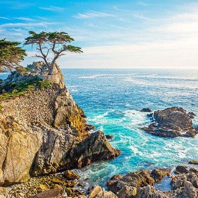 17 Miles and Pebble Beach Tour from Los Angeles to San Francisco